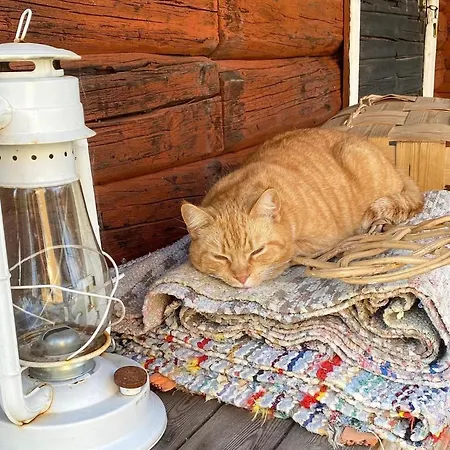 Valkolan Kartanon Saunamoekki * Hankasalmi