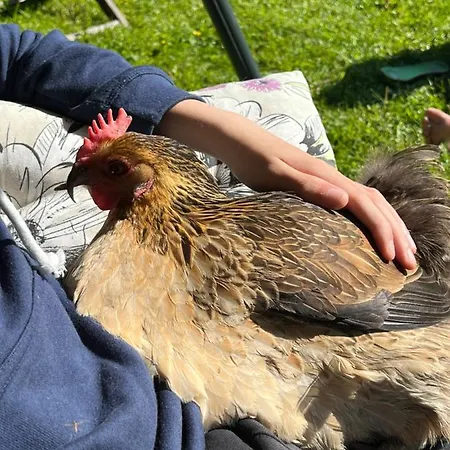 Valkolan Kartanon Saunamoekki *