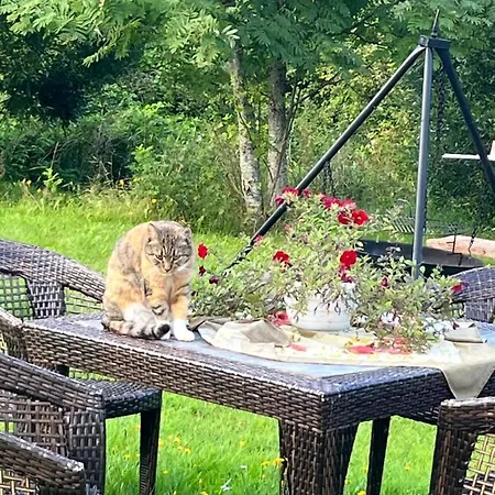 Hytte Valkolan Kartanon Saunamoekki Hankasalmi