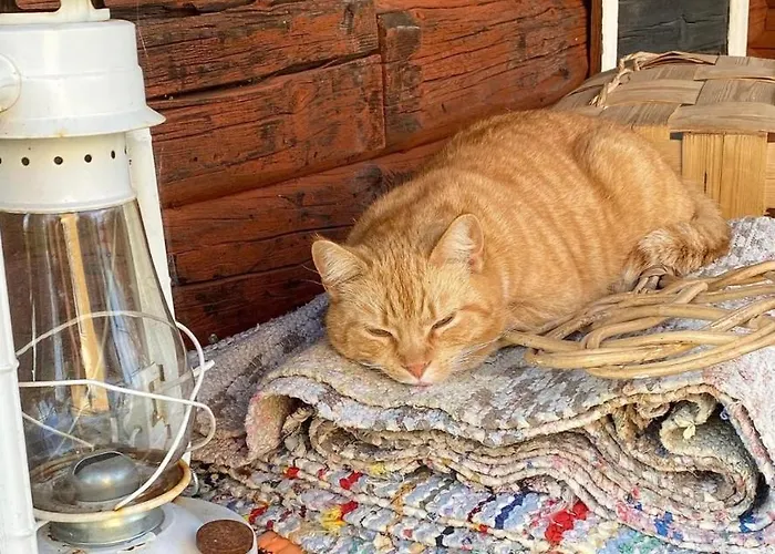 Valkolan Kartanon Saunamoekki * Hankasalmi