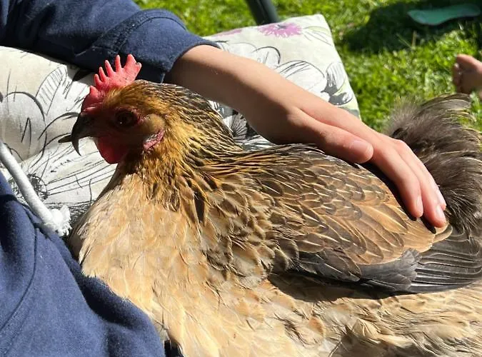 Valkolan Kartanon Saunamoekki *