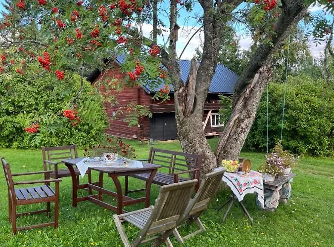 Orman Evi Valkolan Kartanon Saunamoekki *