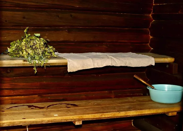 Valkolan Kartanon Saunamoekki * Hankasalmi