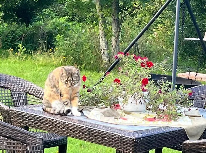 Orman Evi Valkolan Kartanon Saunamoekki Hankasalmi