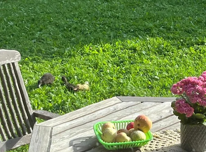 Orman Evi Valkolan Kartanon Saunamoekki