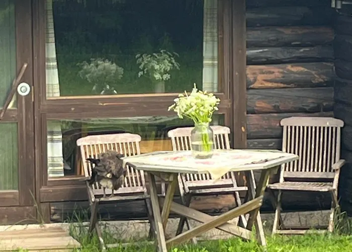 Orman Evi Valkolan Kartanon Saunamoekki *