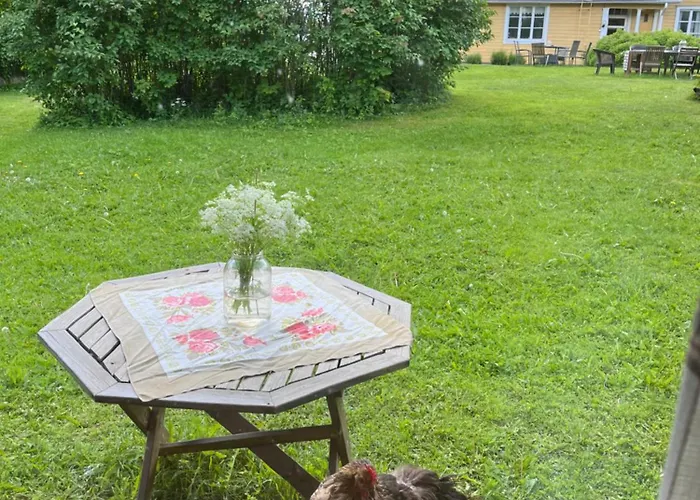 Orman Evi Valkolan Kartanon Saunamoekki Hankasalmi